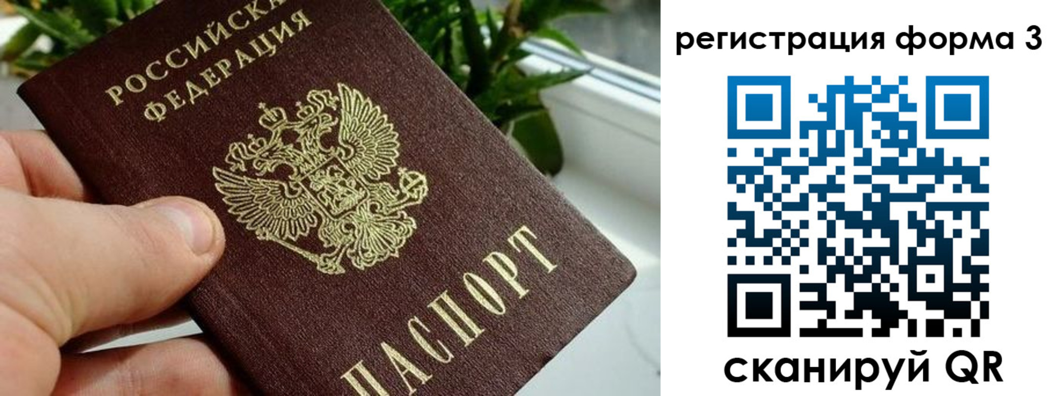 прописка штамп в Камышлове
