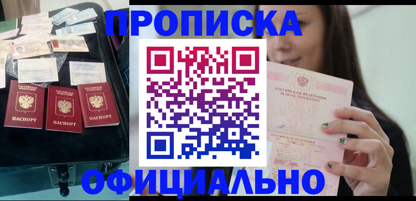 прописка законно в Камышлове